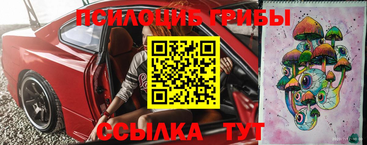 Киселёвск  Галлюциногенные грибы Psilocybe  Вход с VPN 