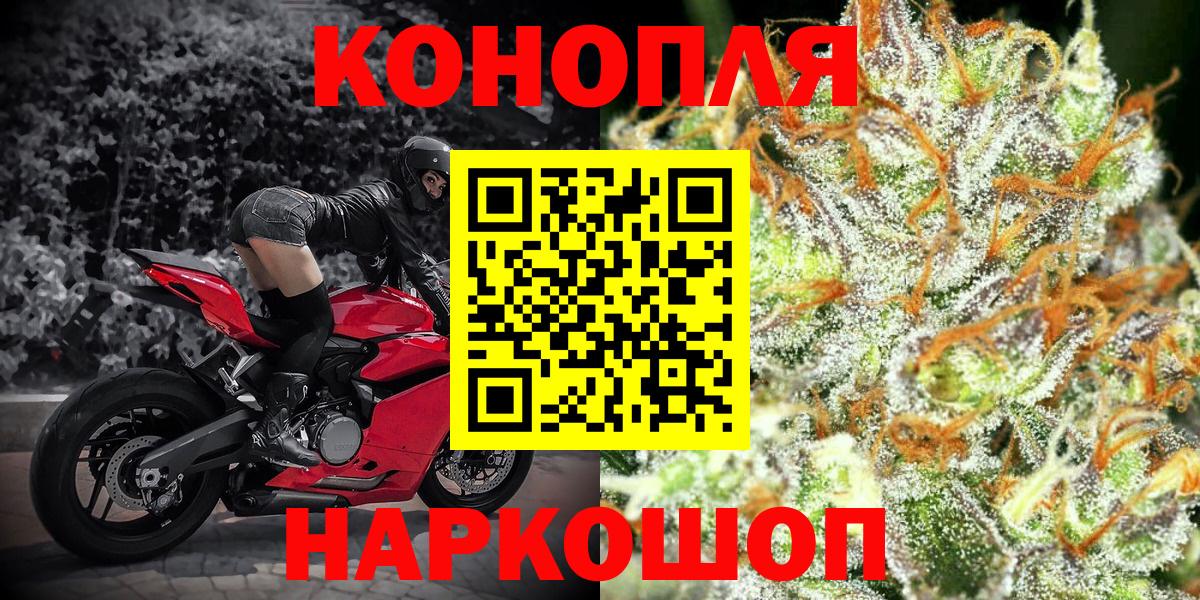 Бошки марихуана ГИДРОПОН Киселёвск